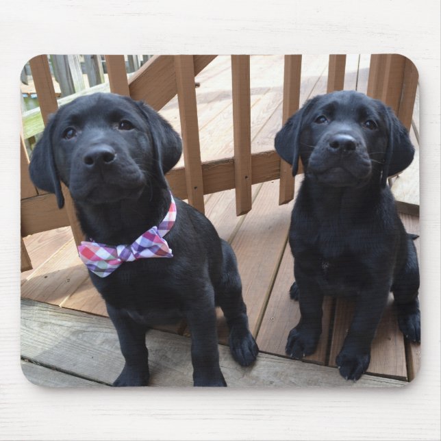 Alfombrilla De Ratón Cachorros Mousepad (Frente)