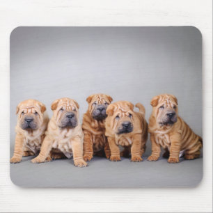 Alfombrilla De Ratón Cachorros shar pei chinos