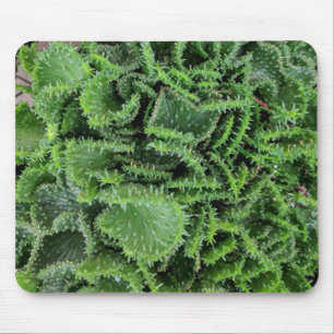 Alfombrilla De Ratón Cactus