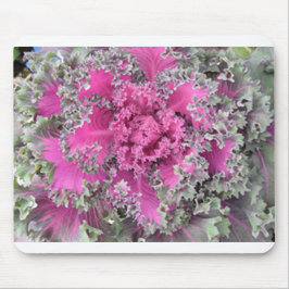 Alfombrilla De Ratón Cactus