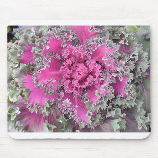 Alfombrilla De Ratón Cactus (Frente)