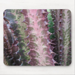 Alfombrilla De Ratón Cactus
