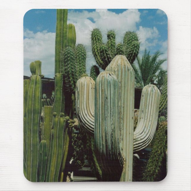 Alfombrilla De Ratón Cactus (Frente)