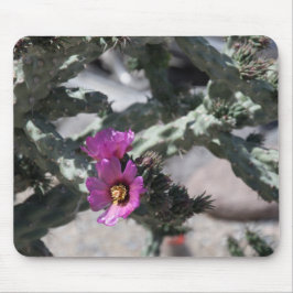 Alfombrilla De Ratón Cactus Cholla en flor
