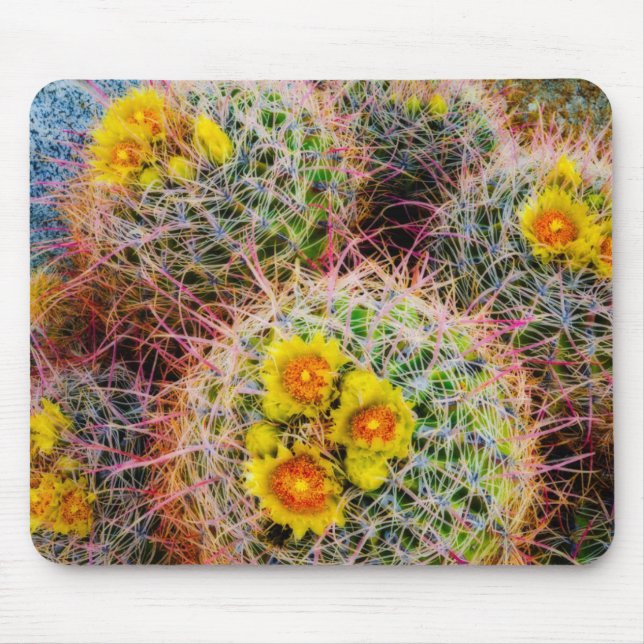 Alfombrilla De Ratón Cactus de barril en primer plano, California (Frente)