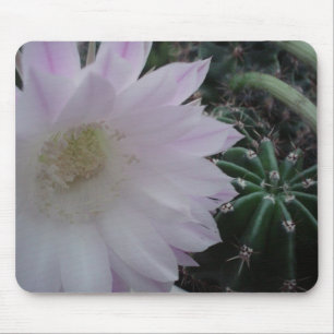 Alfombrilla De Ratón Cactus de la flor blanca
