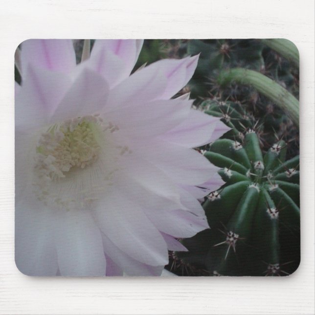 Alfombrilla De Ratón Cactus de la flor blanca (Frente)