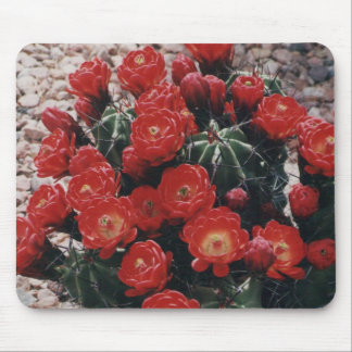 Alfombrilla De Ratón cactus de la taza de clarete