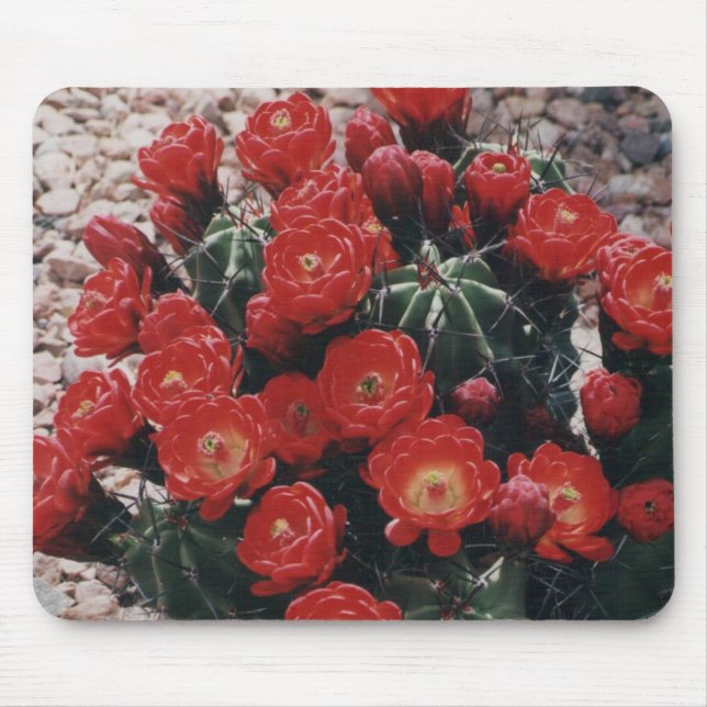 Alfombrilla De Ratón cactus de la taza de clarete (Frente)