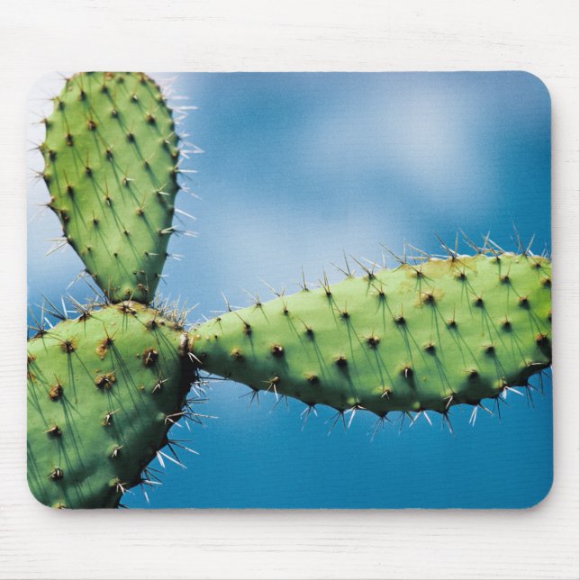 Alfombrilla De Ratón Cactus de Prickley (Frente)