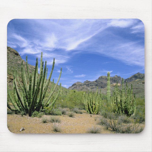 Alfombrilla De Ratón Cactus del desierto en el Monumento Nacional de la (Frente)
