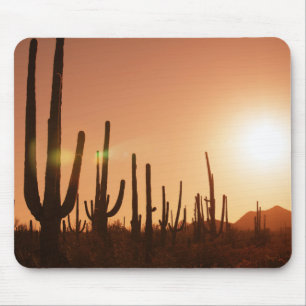 Alfombrilla De Ratón Cactus en desierto