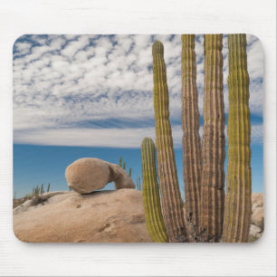 Alfombrilla De Ratón Cactus En Escenario Desértico