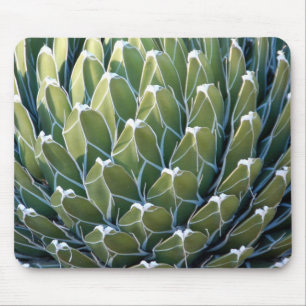 Alfombrilla De Ratón Cactus fresco Mousepad