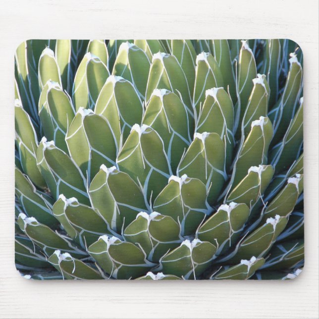 Alfombrilla De Ratón Cactus fresco Mousepad (Frente)