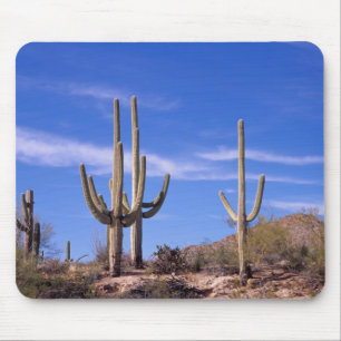 Alfombrilla De Ratón Cactus gigante saguaro multi bravo, Saguaro