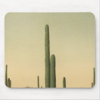 Alfombrilla De Ratón Cactus grove, Arizona