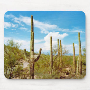 Alfombrilla De Ratón Cactus paisaje forja cielo azul mousepad