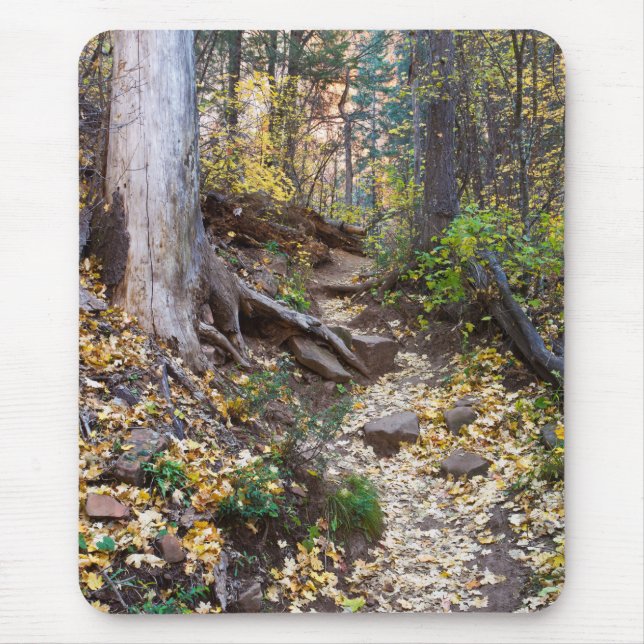 Alfombrilla De Ratón Caer en la ruta de West Fork (Frente)