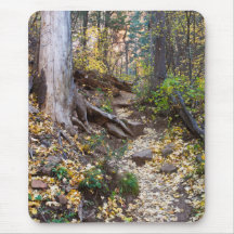 Caer sobre el sendero West Fork