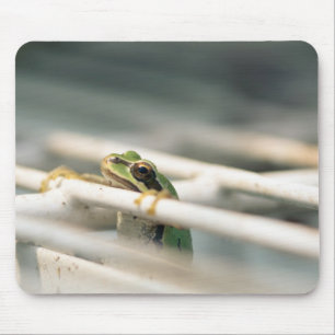 Alfombrilla De Ratón ¡Caída adentro allí!