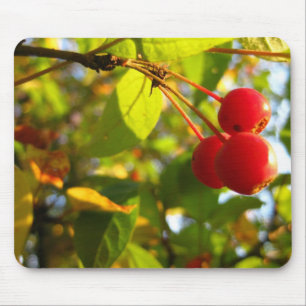 Alfombrilla De Ratón Caída de florecimiento Mousepad de Crabapple