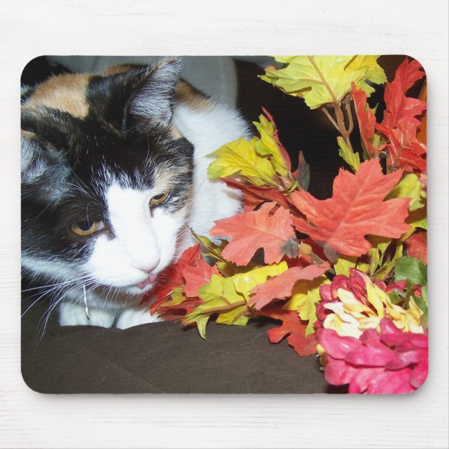 Alfombrilla De Ratón Caída del otoño de Calico Cat deja Mousepad (Frente)