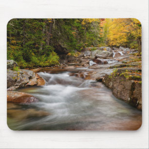 Alfombrilla De Ratón Caída en Jefferson Brook, New Hampshire