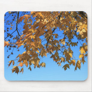 Alfombrilla De Ratón Caída, hojas de otoño, árboles y cielo azul