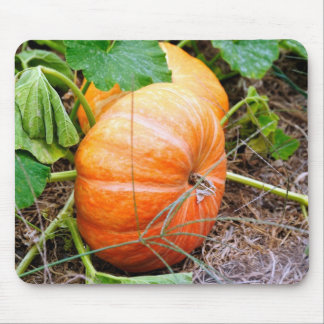 Alfombrilla De Ratón Calabaza anaranjada de Cenicienta