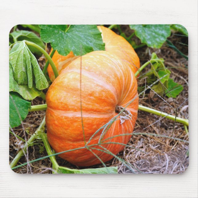 Alfombrilla De Ratón Calabaza anaranjada de Cenicienta (Frente)