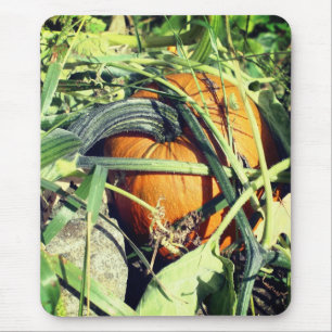 Alfombrilla De Ratón Calabaza En La Naturaleza Vina
