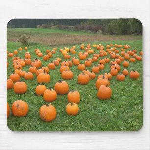 Alfombrilla De Ratón Calabazas en el campo