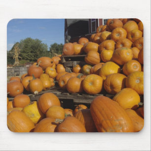 Alfombrilla De Ratón Calabazas en granja en otoño cerca de la