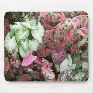 Alfombrilla De Ratón Caladiums mezclados