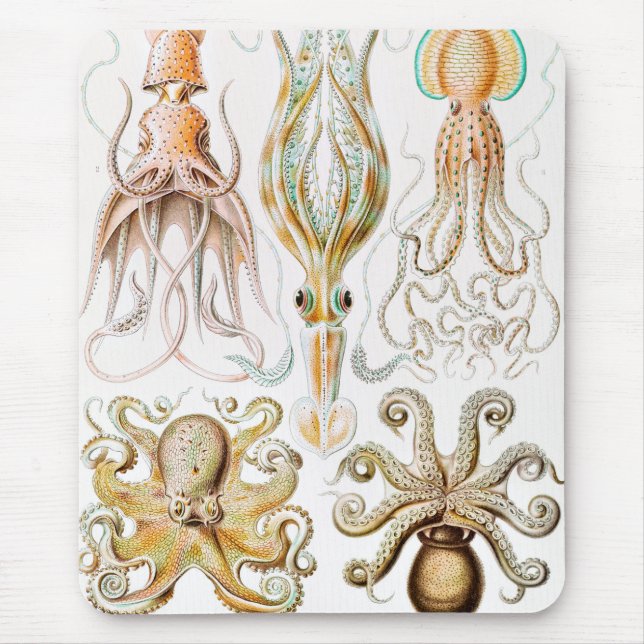 Alfombrilla De Ratón Calamar del pulpo, Gamochonia por Ernst Haeckel (Frente)