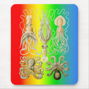 Alfombrilla De Ratón Calamares y Octopods