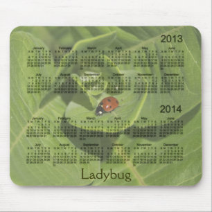 Alfombrilla De Ratón Calendario 2013-2014 de la mariquita Mousepad