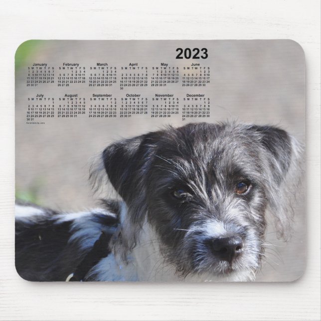 Alfombrilla De Ratón Calendario de Copos 2023 de Janz Jack Russell Terr (Frente)