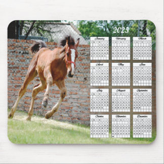 Alfombrilla De Ratón Calendario de ejecución de 2025 colores