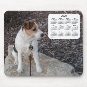 Alfombrilla De Ratón Calendario del perro de 2020 Jack Russell Terrier