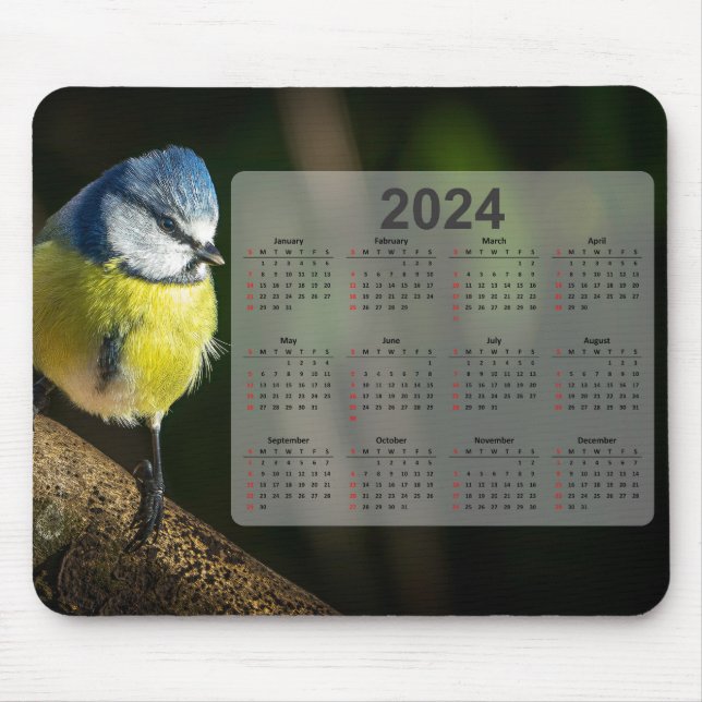 Alfombrilla De Ratón Calendario Little Blue Tit Bird 2024 (Frente)