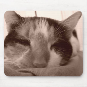 Alfombrilla De Ratón Calico Cat Mousepad