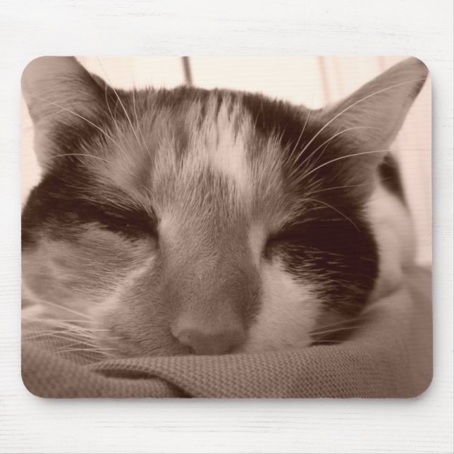 Alfombrilla De Ratón Calico Cat Mousepad (Frente)