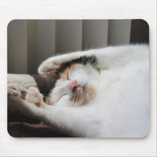 Alfombrilla De Ratón Calico durmiendo en el sepad solar