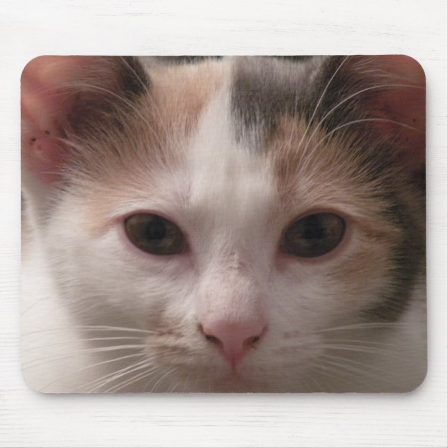 Alfombrilla De Ratón Calico kitten mousepad (Frente)