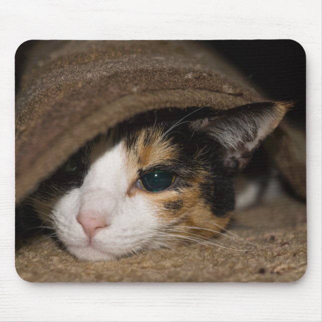 Alfombrilla De Ratón Calico Taco (Frente)