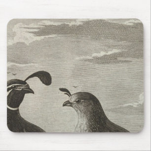 Alfombrilla De Ratón California