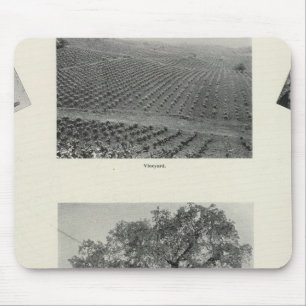 Alfombrilla De Ratón California 4