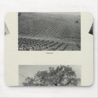 Alfombrilla De Ratón California 4